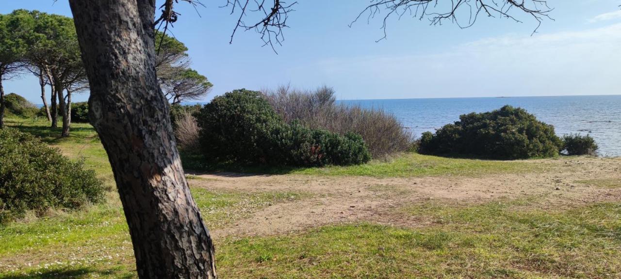 Dolce Casa Baia Sant'Anna - Budoni Eksteriør bilde